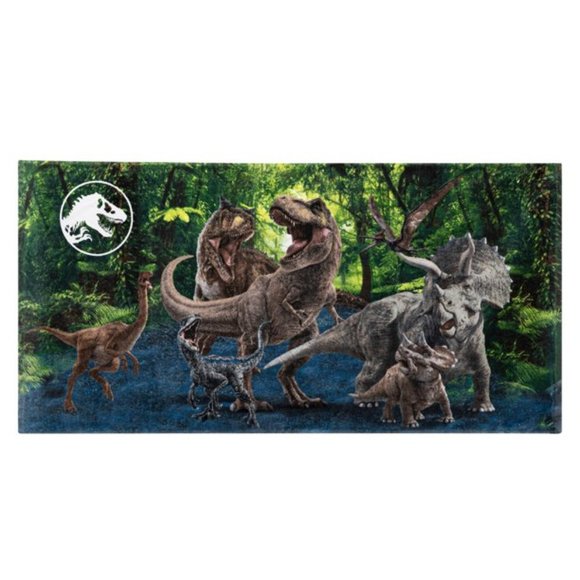 Cotton Kids Beach Towel Varios 28"W x 58"L New   - New With Tag - Picture 6 of 7